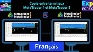 Français. COPYLOT. Copieur pour MetaTrader 4/5