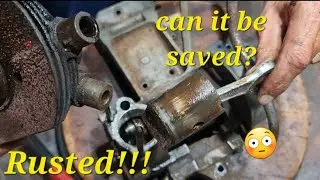 10years in the elements, 2stroke cycle engine 😬how to get a rusted piston unstuck #2stroke