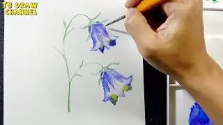 Vẽ hoa bằng màu nước | Painting Flower in Watercolor
