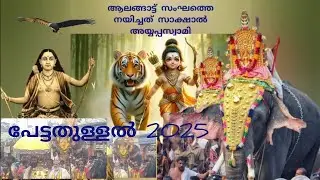 അയ്യപ്പ സാന്നിധ്യം/Erumeli petta thullal/ആലങ്ങാട് സംഘം/തൃക്കടവൂർ ശിവരാജു/thrikkadavoor shivaraju/