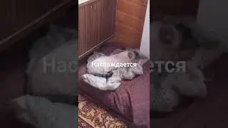 13 октября 2023 г.