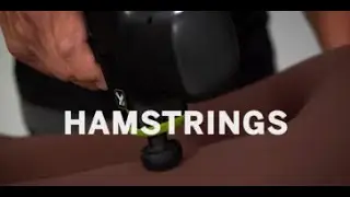IMPACT Percussion Massage: Hamstrings
