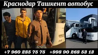 Краснодар Ташкент автобус, Сочи Ташкент Анапа Ташкент Мариуполь Ташкент Новороссийск Ташкент автобус