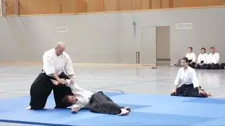 USI Wien Budo-Gala Aikido