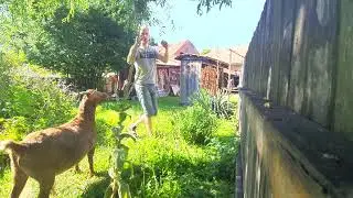 Čas krmení 😁