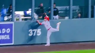Wil Myer makes a leaping catch at the wall