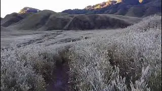 The Dzukou Valley , Nagaland ( NE India )