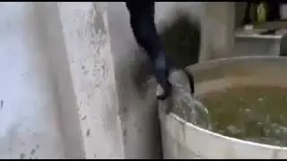 Кот не может выбраться из воды / Cat can not get out of the water