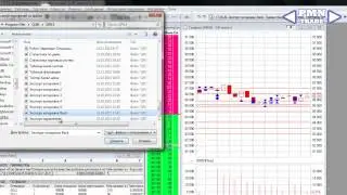 Экспорт котировок из QUIK Back