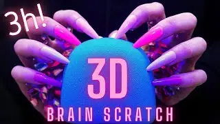 Asmr Scratching Mic - Brain Scratching with Long Nails | No Talking for Sleep ( 3 Hours Asmr )