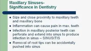 Paranasal Sinuses