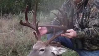 Musick Hunts the Unicorn Buck