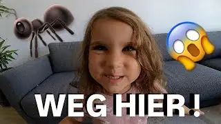 AMEISEN IN UNSEREM HAUS 🐜 😱 WIR MÜSSEN RAUS | Nader Louisa