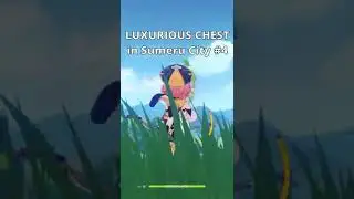 LUXURIOUS CHEST you might have missed in Sumeru City #4 | Genshin Impact 