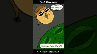 Plant Hormones  - Amoeba Sisters #Shorts