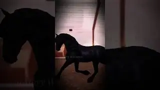 What's your opinion on the new Friesians? 🖤