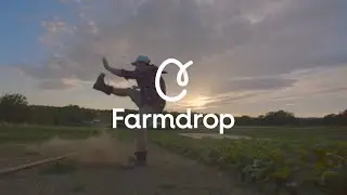 Experience Food Euphoria