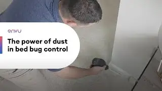 Temprid® Dust - The Power of Dust in Bed Bug Control