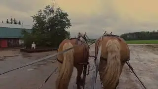 TEEPEE CREEK 100TH YEAR PICNIC VIDEO