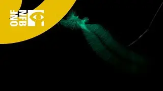 Hothouse 9 - Chute splendide