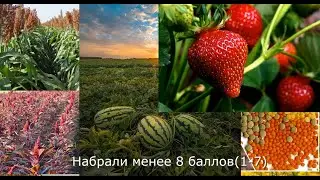 Выбираем семена #07 на поле Подписчиков! Главное о природно-климатических условиях.