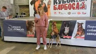 Кубок Барбоса 2021, Заречнева Алина и Настя