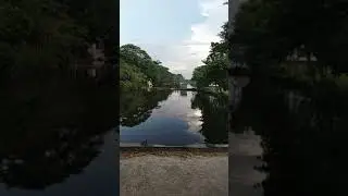 Longest Swamp in Chandpur