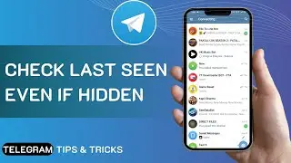 How To Check Telegram Last Seen Even if Hidden 2025