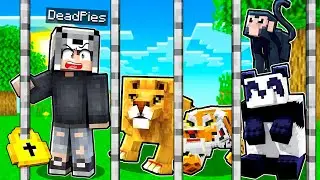 HAYVANAT BAHÇESİ AÇIP MİLYARDER OLDUM 🐻 - Minecraft