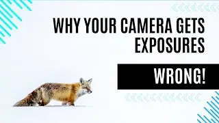Why your camera gets exposures wrong ...and how you can fix it.