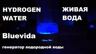 Bluevida новый спортивный генератор водородной воды живая вода