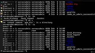 Ubuntu linux server basics