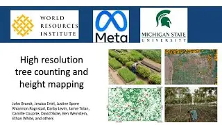 High Resolution Tree Counting and Height Mapping using Transformers and Foundational Model