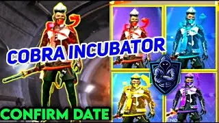 Next Incubator Royale Free Fire || New Incubator Royale || New Cobra Bundle Confirmed || Free Fire