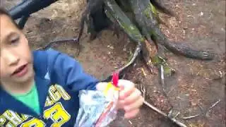Цветные дымовые шашки.