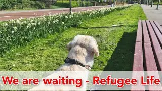 We are Waiting - Refugee Life