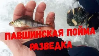 Павшинская Пойма, рыбалка на Москве реке январь 2019