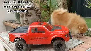 PROLINE FORD 150 RAPTOR  on TRAXXAS Slash 4x4 VXL @murphymario13