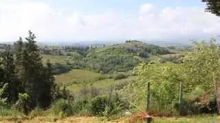 youchef.tv - Paluffo History