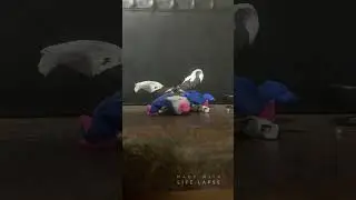 When You Have That Dream ...