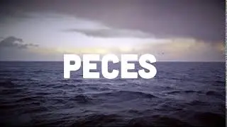 MIXTA - Reflexiones no muy profundas – Pacífico