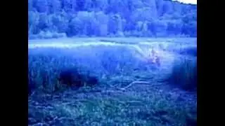 Драйв по Деревенски 2