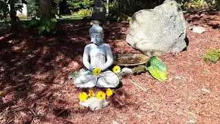 A Zen space just for us. Let's chill!!