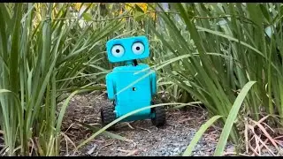 Weeble - Robot Reveal