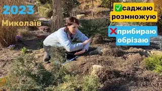 Plant on slopes, flowerbeds, stone slides! Perennials, ground cover plants