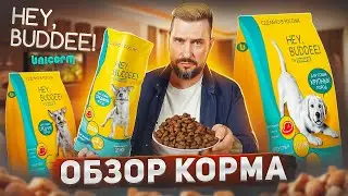 Новый отечественный сухой корм для собак HEY, BUDDEE! | Обзор корма HEY BUDDEE