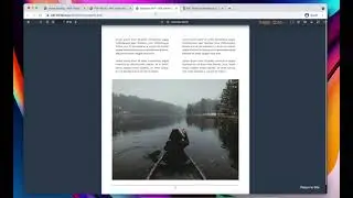 6. Setting up global options - PDF Viewer for WordPress