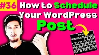 Automatically Publish Your WordPress Posts! | How To Schedule Your Posts on Your WordPress Website