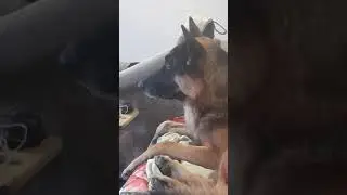 Видели видео?