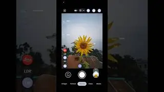 LMC 8.4 Macro Config || #gcam #shorts